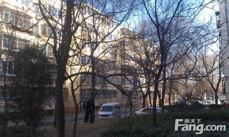 金魚(yú)池小區(qū)